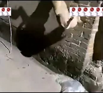 Сегодня на обед шашлык из ...