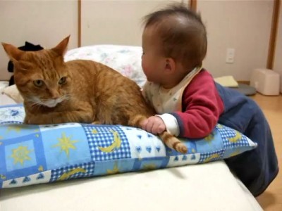Ребенок играет с котом