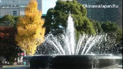 Осень в Токио