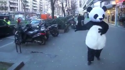 Панда валит с ног особой уличной магией!