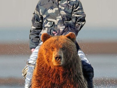 Путин На Медведе Фото В Хорошем Качестве