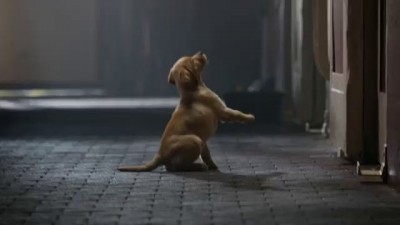 Budweiser Super Bowl XLVIII Commercial -- "Puppy Love"
