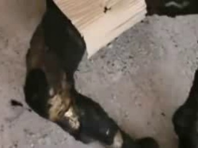 Стойкий красивый загар ...