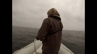Blue Whale Capsizes Boat In California