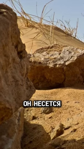 мракобесие