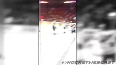 Top 5 NHL Players Taunting Fan Moments (HD)