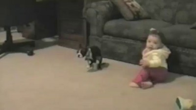 Dogs Being Jerks To Kids: Compilation