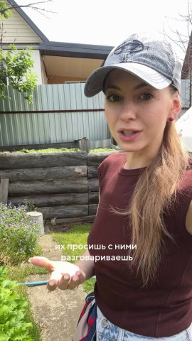 Шумные соседи