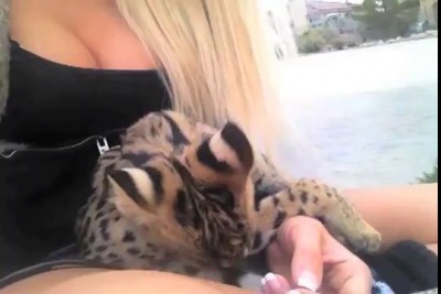 Me and my Serval Kitten