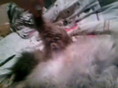 Спит мертвым сном