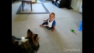 Babies Laughing At Dogs Supercute