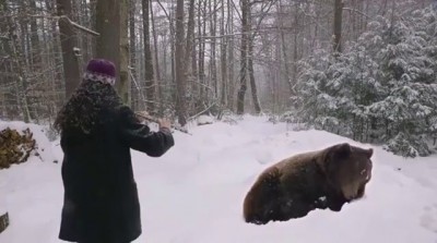 Убаюкивает медведя