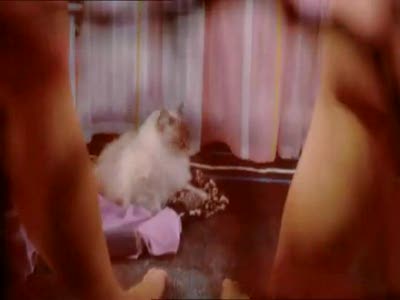 Мир глазами вагины