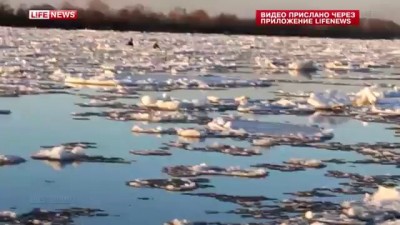 Двоих детей унесло на льдине на реке в Нижегородской области