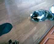 Стирайте носки!