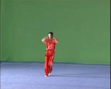 Чан цюань (32 формы) - учебный фильм.avi