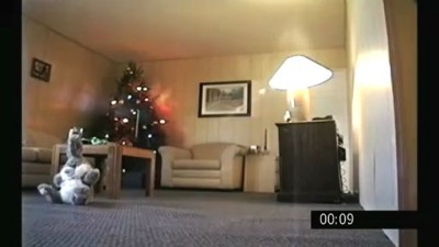 Christmas tree fire destroys a living room in under a minute