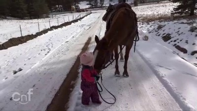 Девочка и лошадка