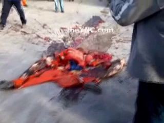 Переехало катком