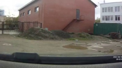 козел дорогу перебежал