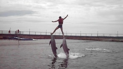 покатушки с дельфинами