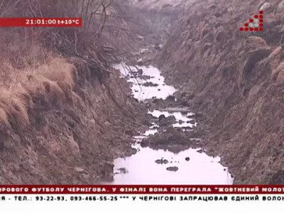 Копатели великого украинского рва увязли в брянских болотах