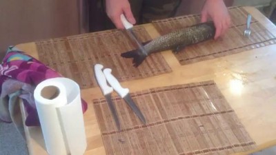 Сумасшедшая рыба. Испытание.