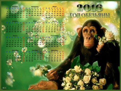 2016 год обезьяны