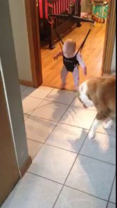 Ally & Day, Dog teaching baby to jump