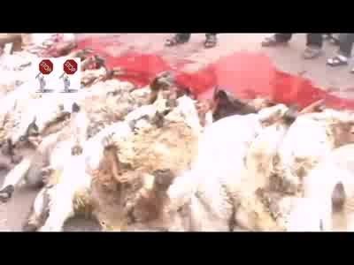 Вкусный будет шашлычок ...