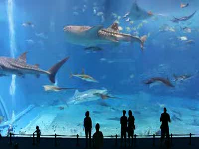 Второй по величине аквариум в мире