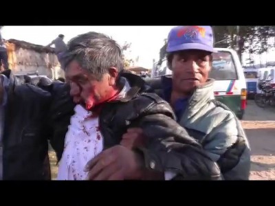 С быками шутки плохи