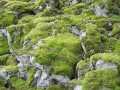 Текстура для водопада