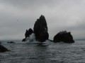 IMG_4672
