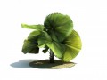 1-131012204104519