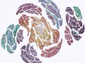 Fractal-2