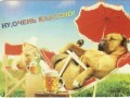 12.008