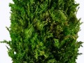 3675444_yapfiles.ru
