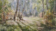 . Солнечная поляна.