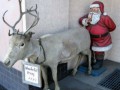 tn