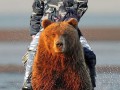 Путин на медведе