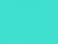 Светло-бирюзовый	#40E0D0	64	224	208