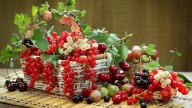1675968664_balthazar-club-p-tsveti-smorodini-vkontakte-7