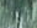 1_1