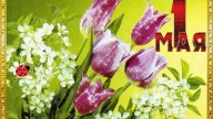1 Мая!