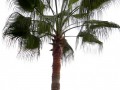 view2_full