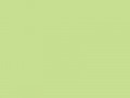 Очень светлый желто-зеленый	#C6DF90	198	223	144