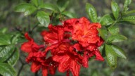 IMG_9875 копия