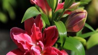 IMG_8867 копия