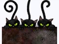 la_3er-cats-min